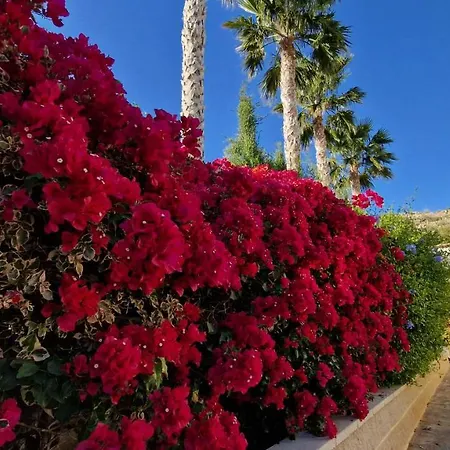 Casa Gran Mirador - Ruime Met Groot Prive Zwembad 8-14 Pers Holiday home *